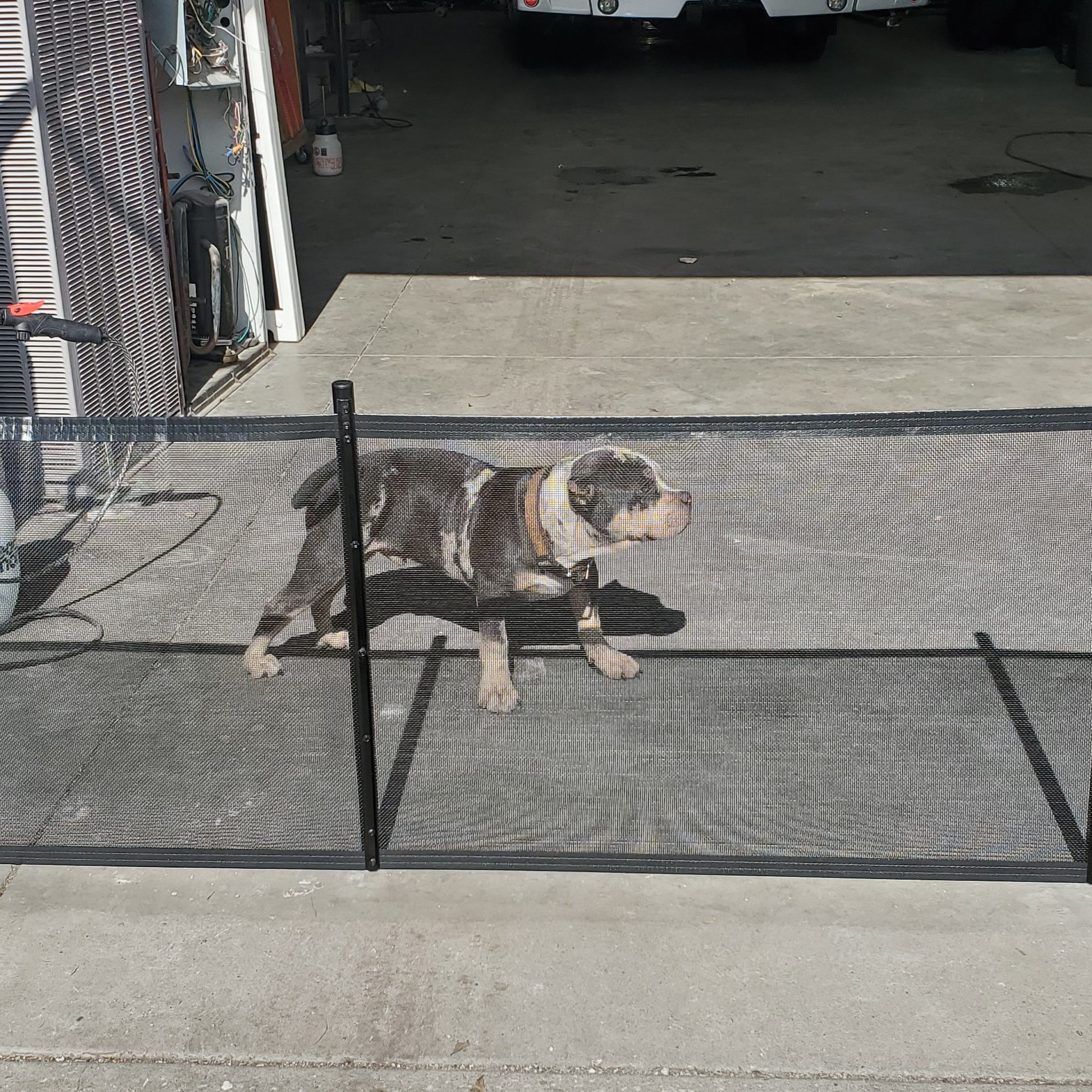 pet safety fence in seminole